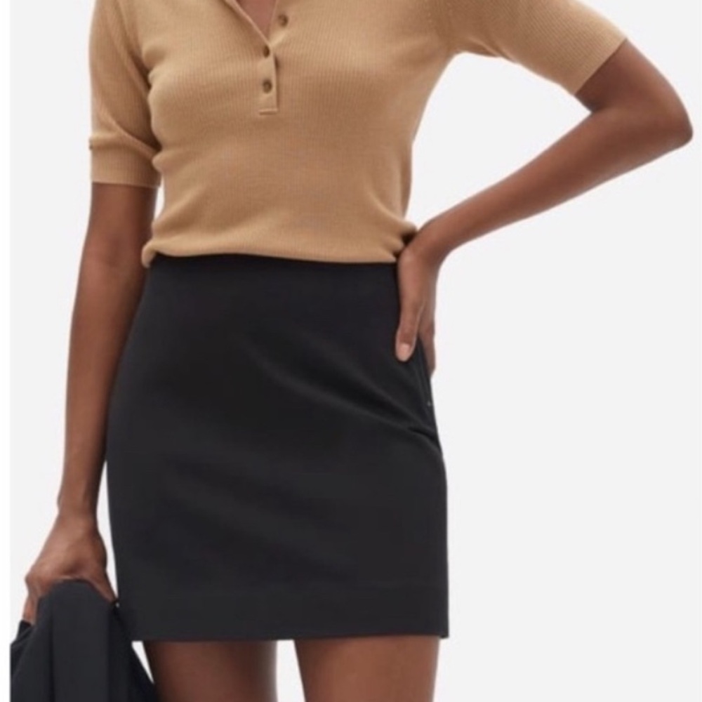 Everlane Black Mini Skirt